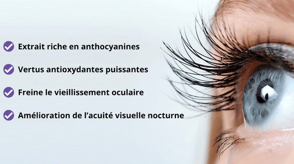 Les bienfaits des extraits de myrtille pour la santé oculaire